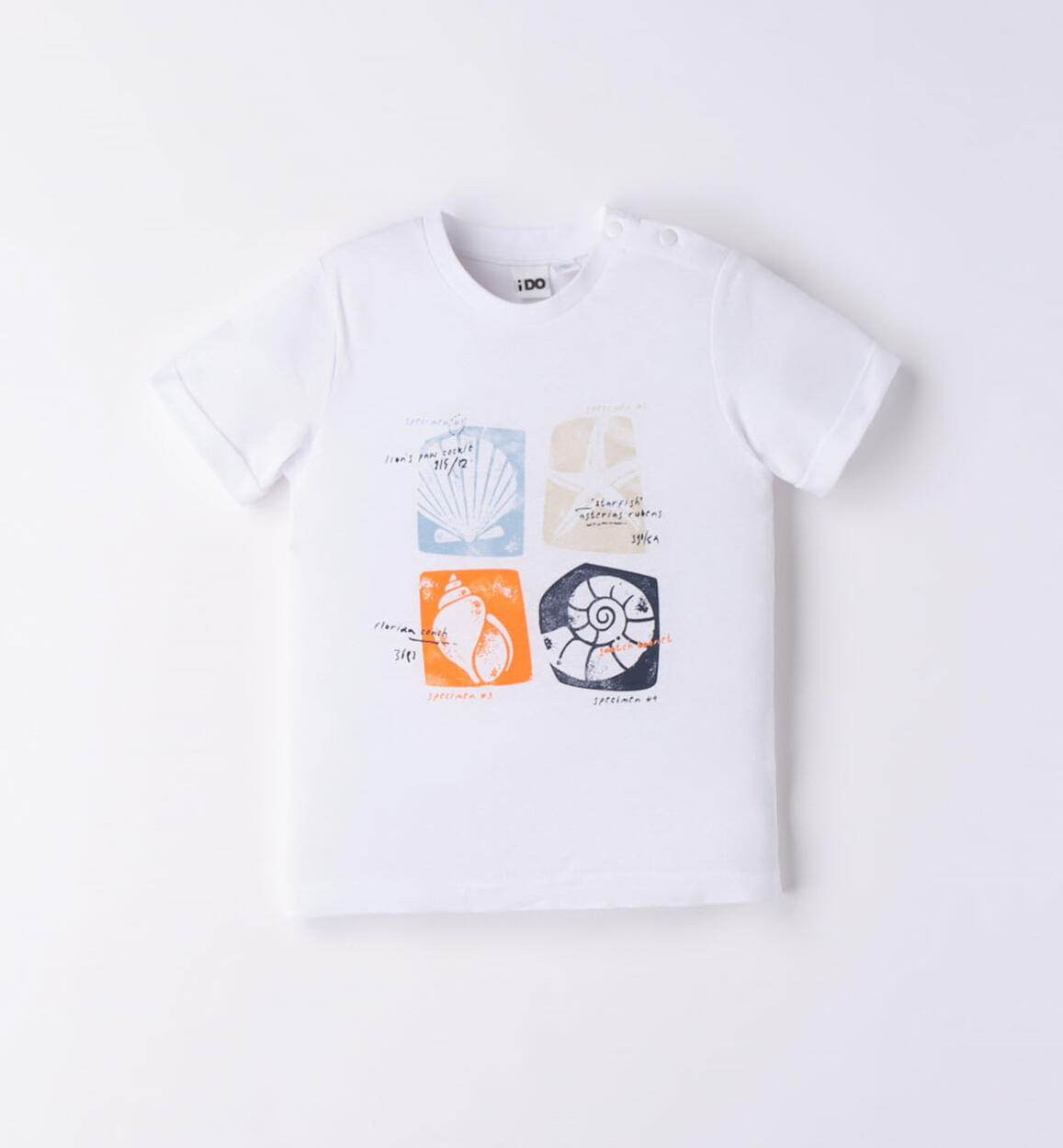 T-shirt bambino conchiglie BIANCO iDO